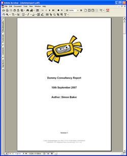 The Report
