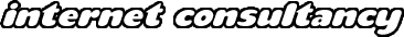 Internet Consultancy