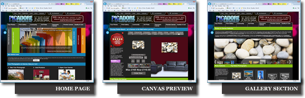 Picadore Photo Onto Canvas Ecommerce website