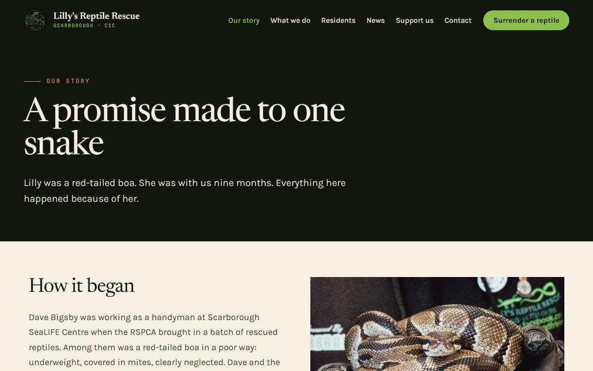 Lilly's Reptile Rescue – Website & Booking System for a Scarborough Rescue Centre screenshot