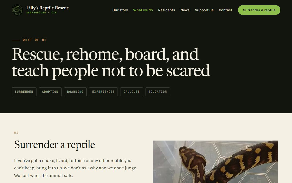 Lilly's Reptile Rescue – Website & Booking System for a Scarborough Rescue Centre screenshot